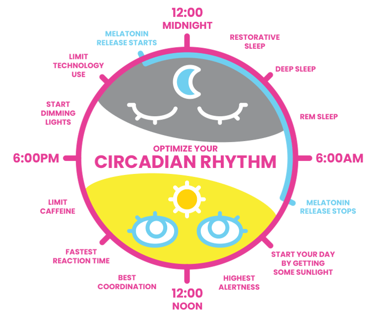 circadian-rhythm-lighting-design